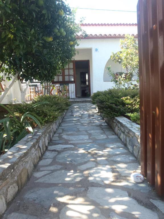 Amalia Studios مدينة سكياثوس المظهر الخارجي الصورة