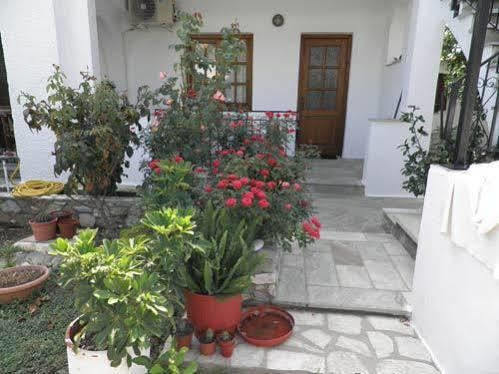 Amalia Studios مدينة سكياثوس المظهر الخارجي الصورة
